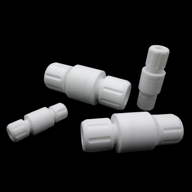 PTFE check valve