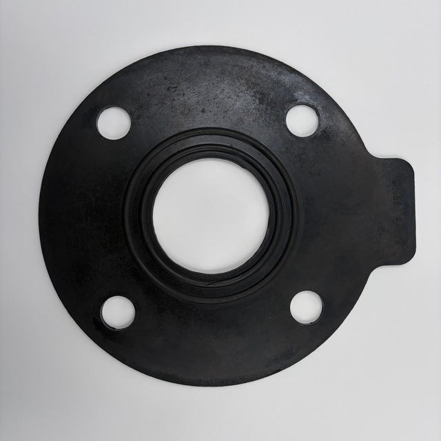 FKM gasket